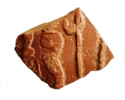 Sherd of decorated Roman pottery